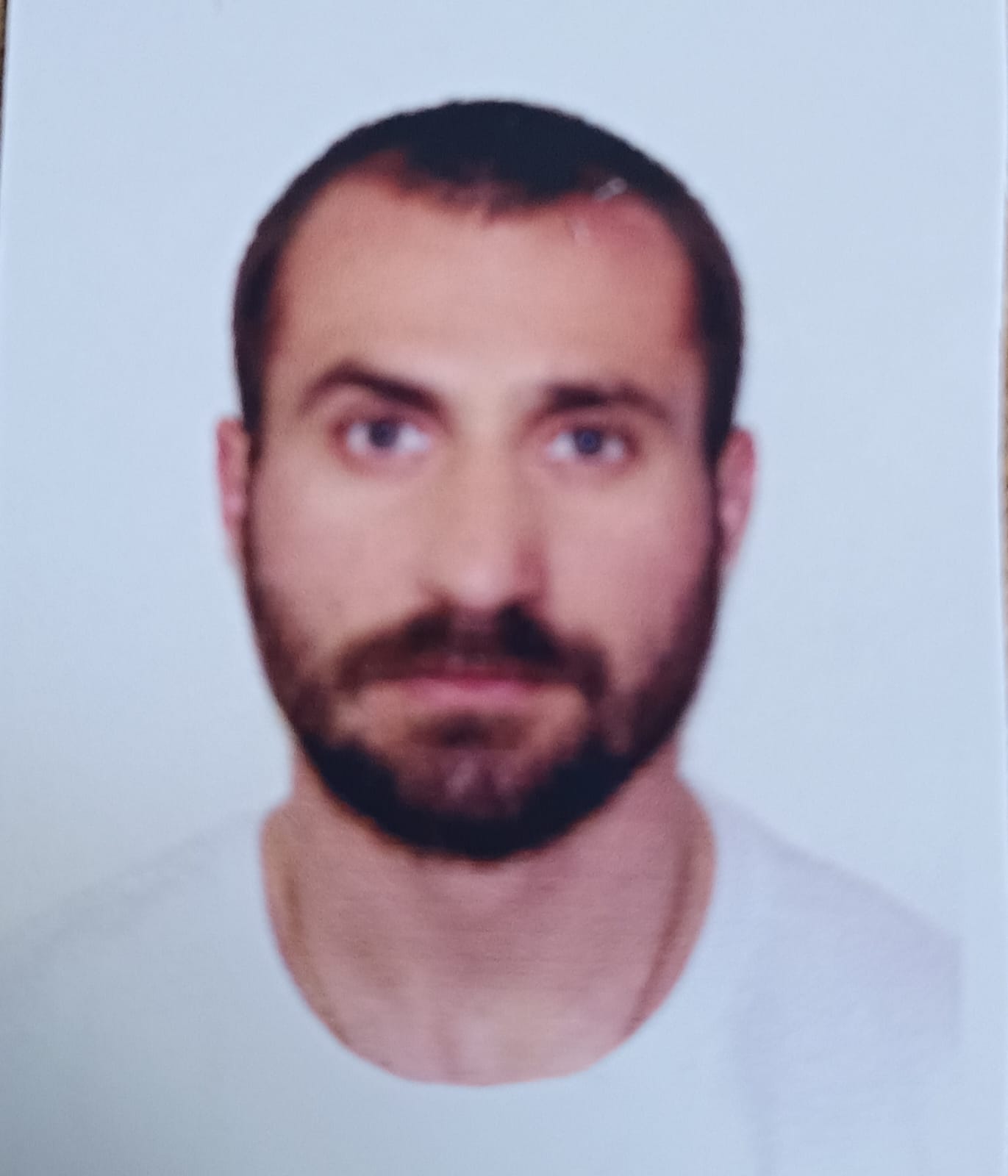 დავით ჩიგოევი